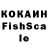 Галлюциногенные грибы Psilocybine cubensis Hel Kash