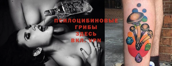 таблы Белокуриха