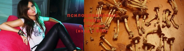 прущий лед Белоозёрский