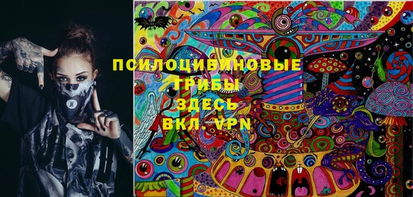 таблы Белокуриха