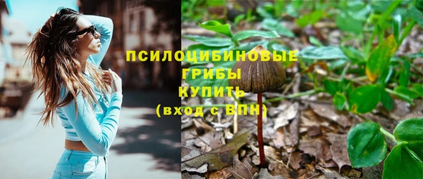 таблы Белокуриха