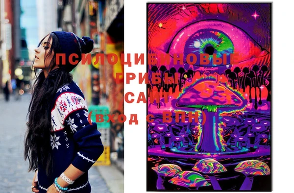 таблы Белокуриха