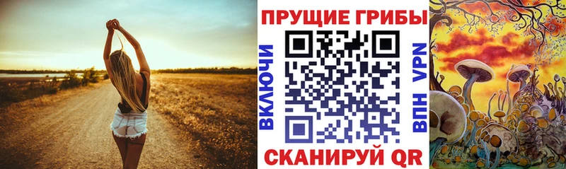 Галлюциногенные грибы мухоморы mega tor Кольчугино