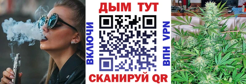 Марихуана план  Кольчугино 